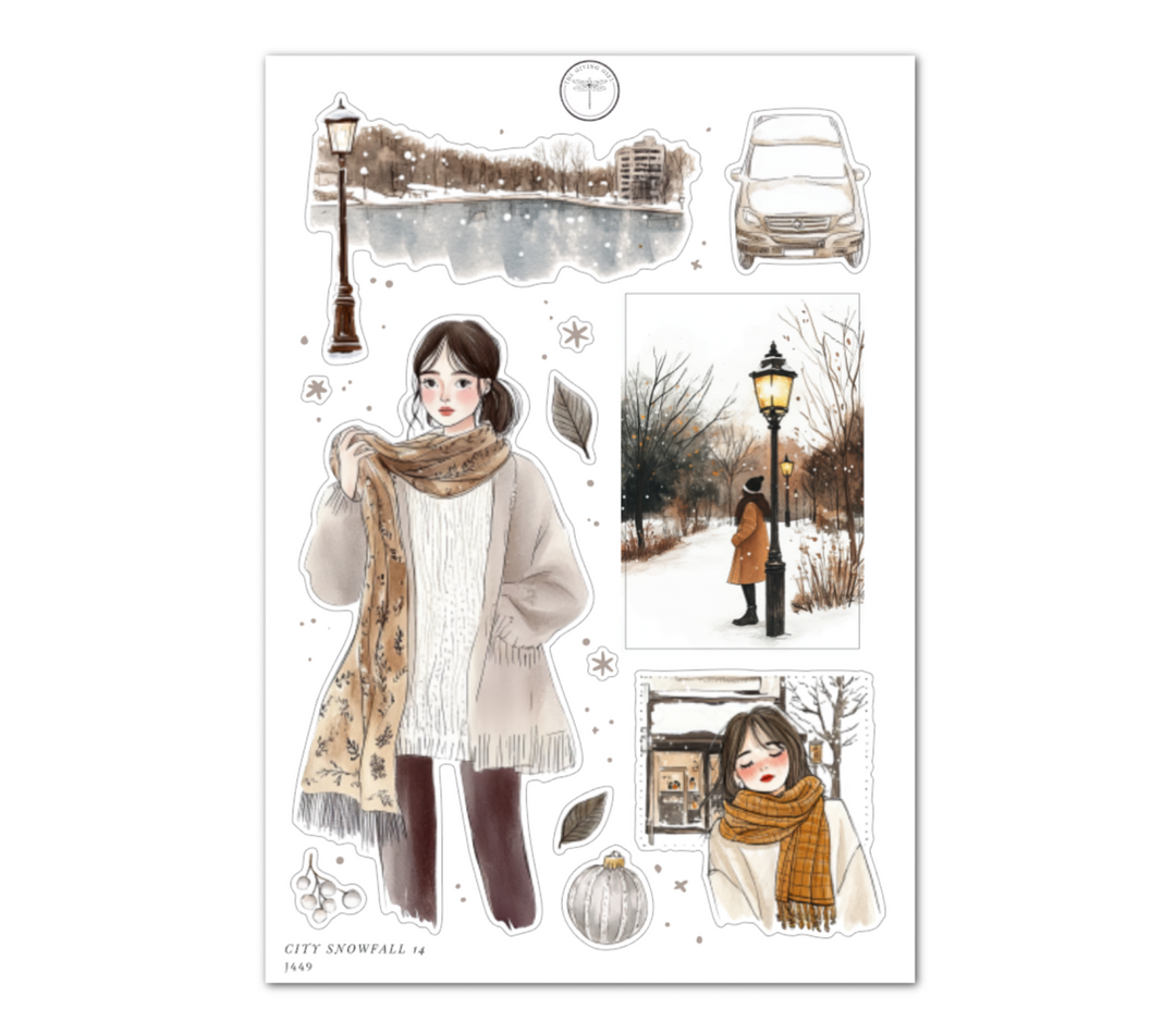 City Snowfall 14