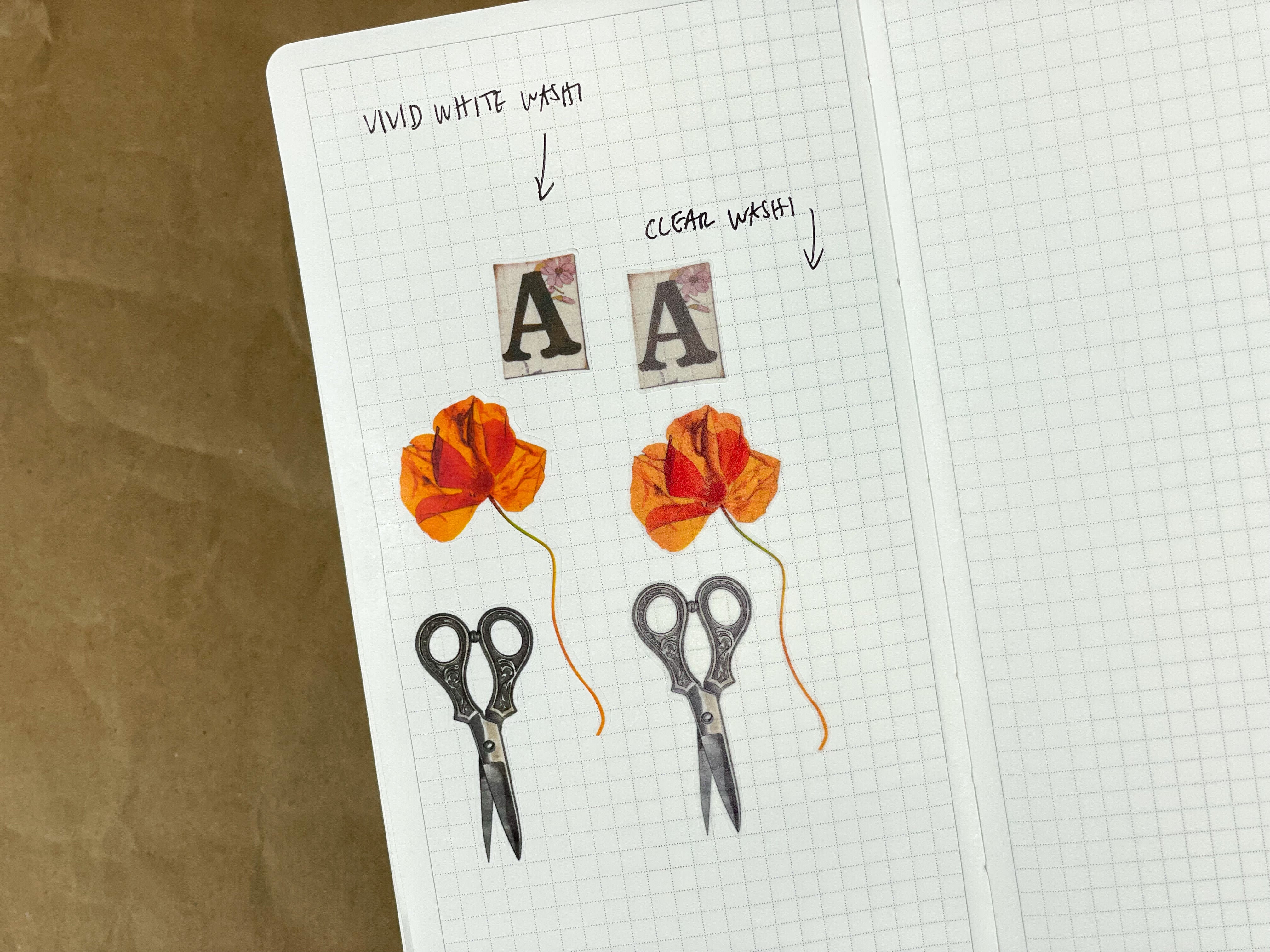 New Paper Types