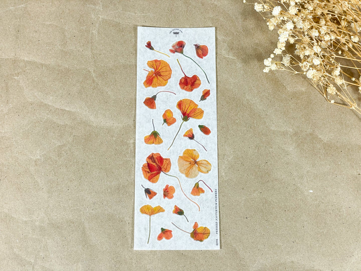 Pressed Nasturtium Flowers - Ephemera Stickers