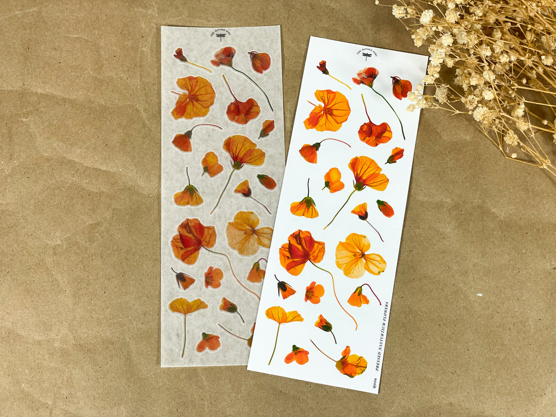 Pressed Nasturtium Flowers - Ephemera Stickers