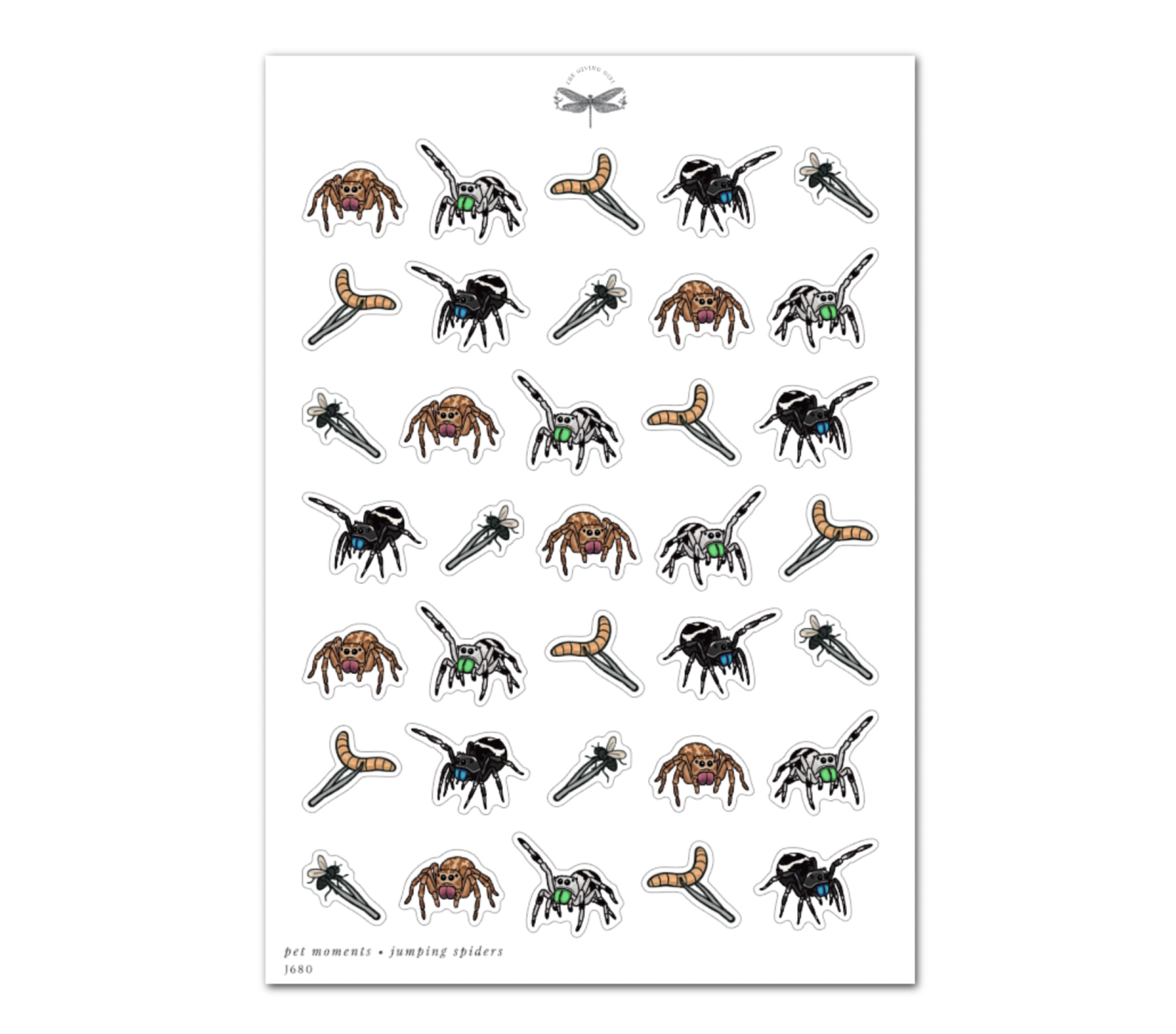 Pet Moments • Jumping Spiders