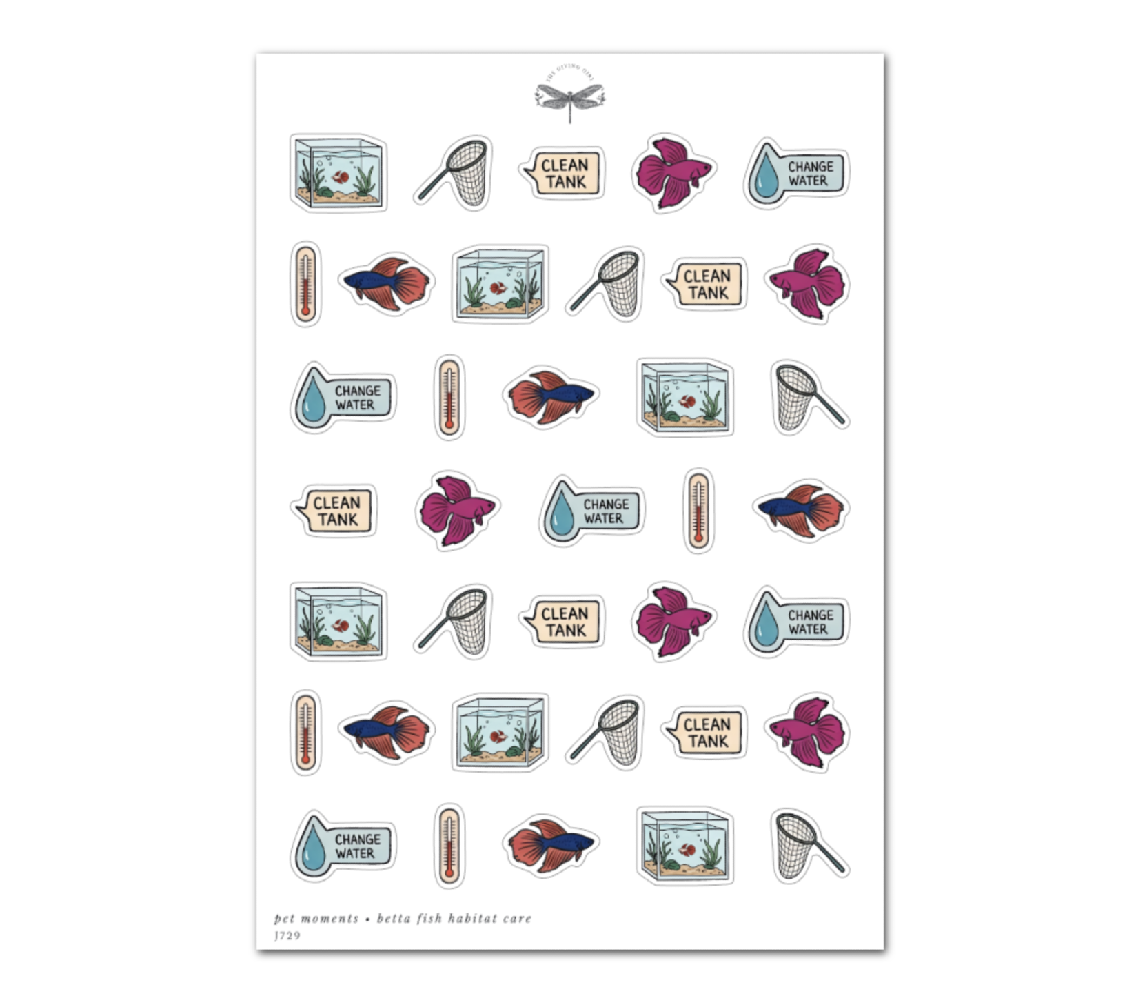 Pet Moments • Betta Fish Habitat Care