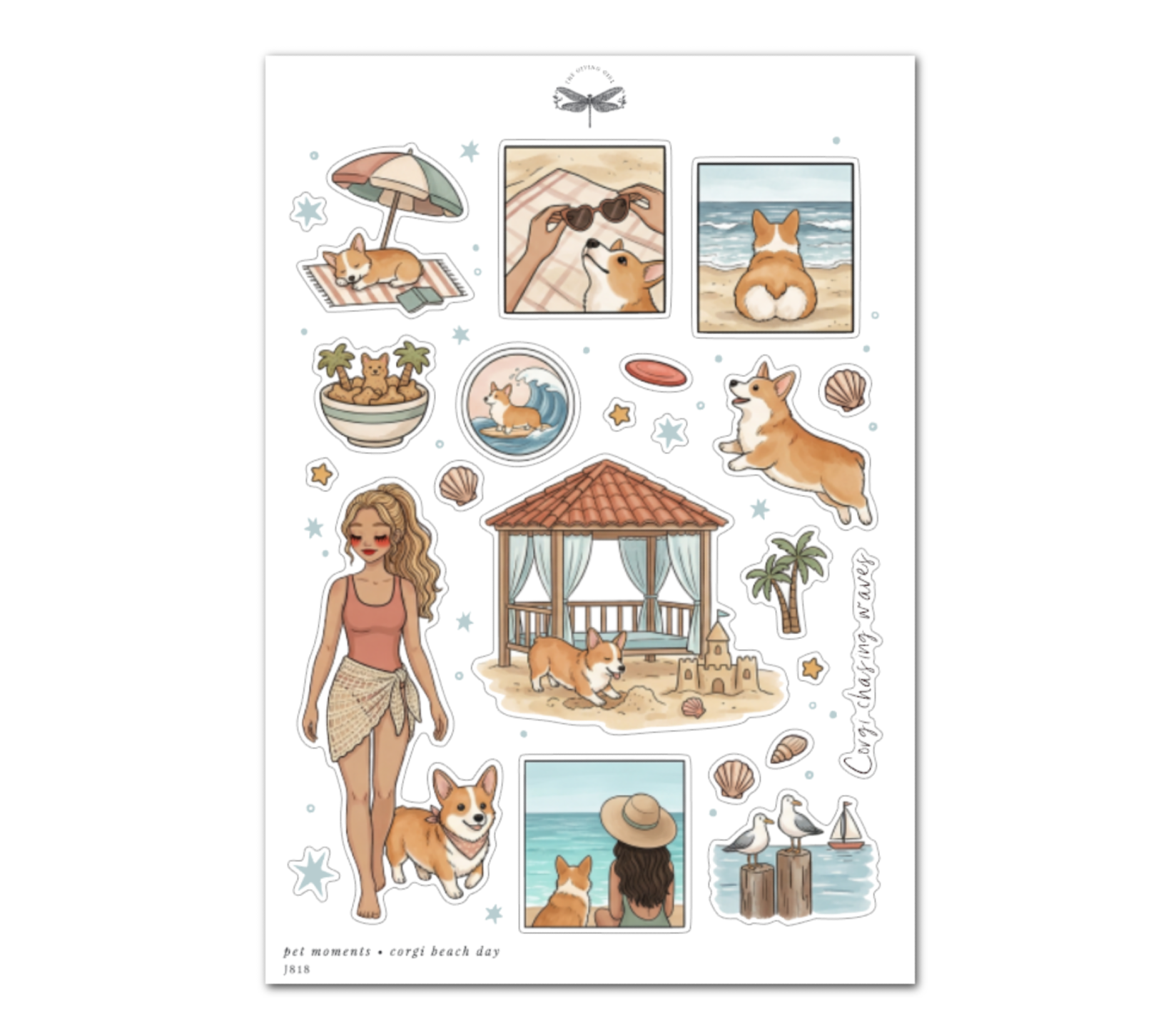 Pet Moments • Corgi Beach Day